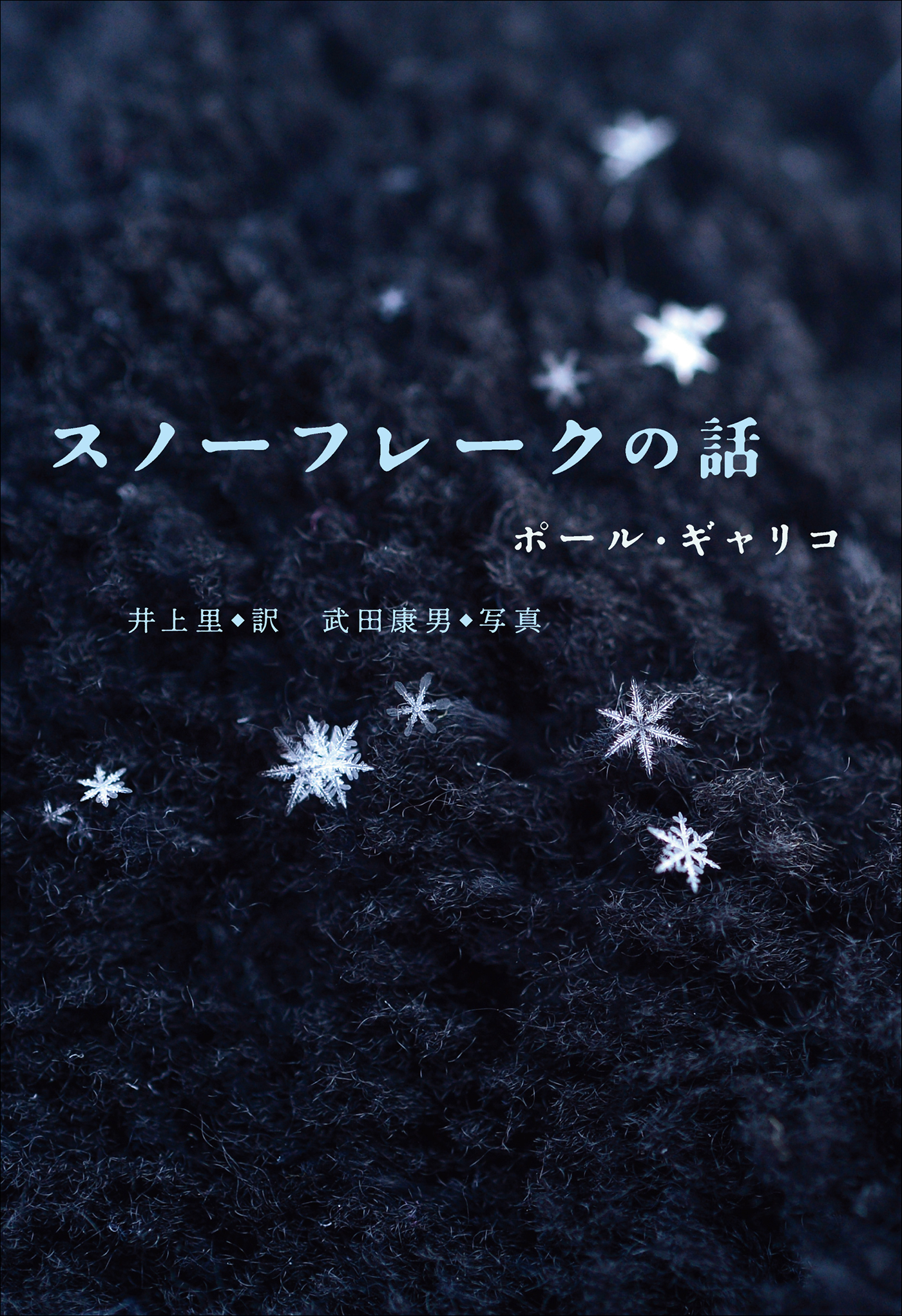 小学館世界Ｊ文学館　スノーフレークの話