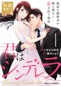 【期間限定 無料お試し版 閲覧期限2026年1月1日】君はシンデレラ~孤高な御曹司が絶え間なく愛を注ぐ理由~【財閥御曹司シリーズ】1巻