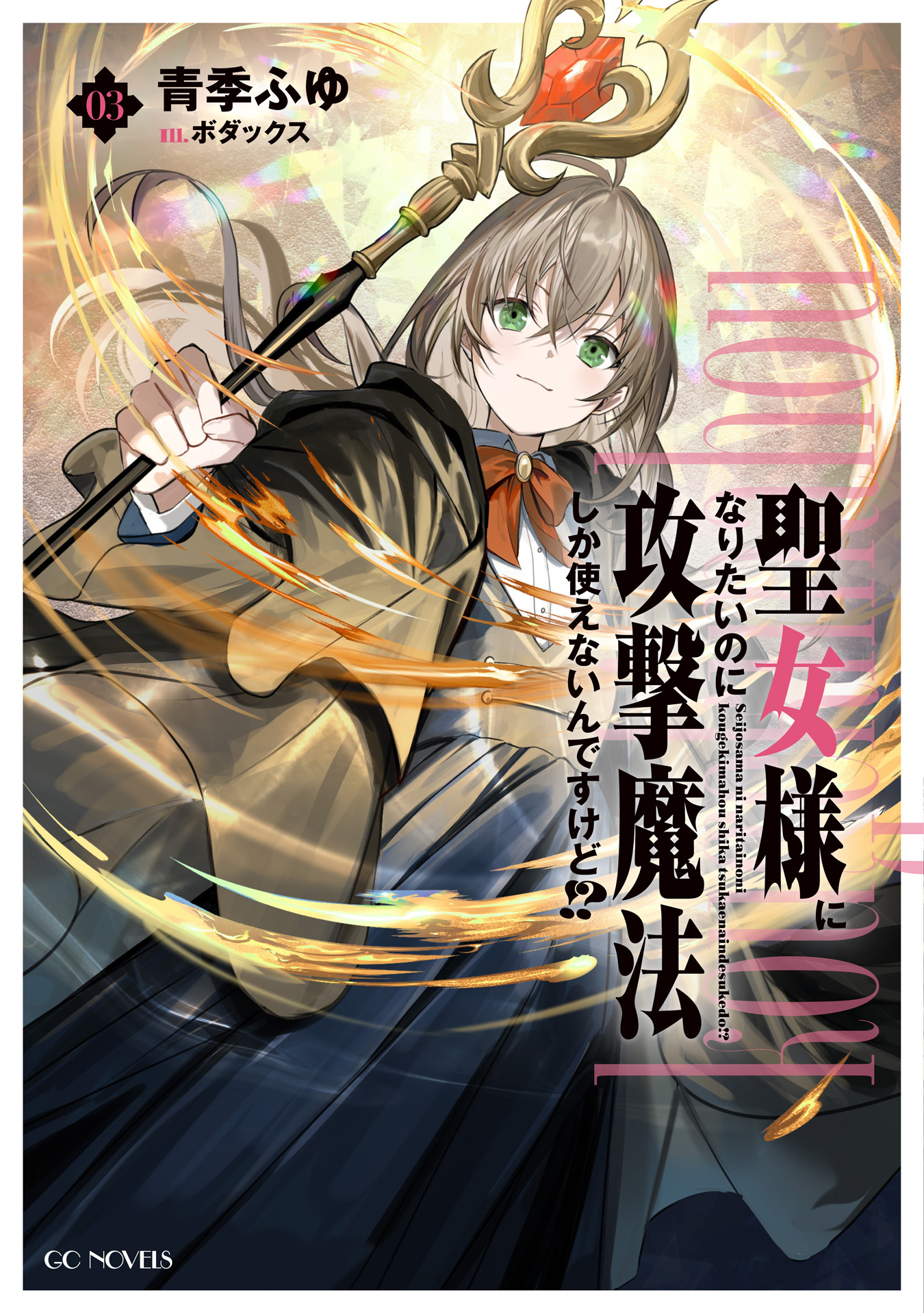 聖女様になりたいのに攻撃魔法しか使えないんですけど!? 3