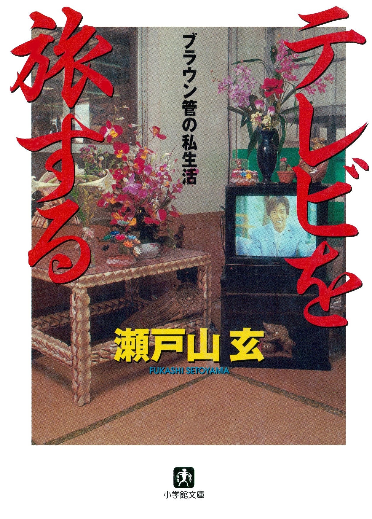 テレビを旅する（小学館文庫）