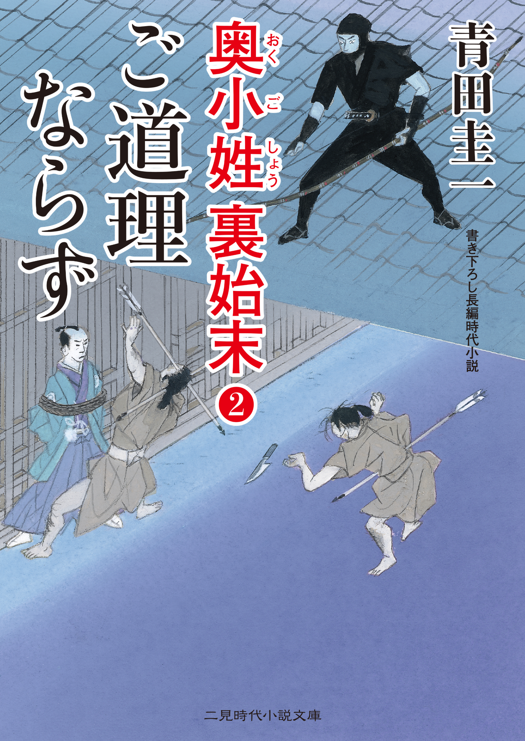 ご道理ならず　奥小姓裏始末２