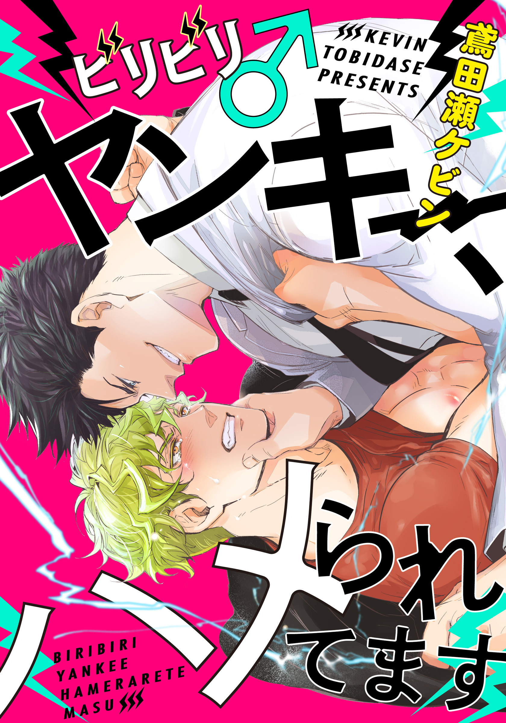 ビリビリ♂ヤンキー、ハメられてます(4)　トイレでエッチなおねだり！？