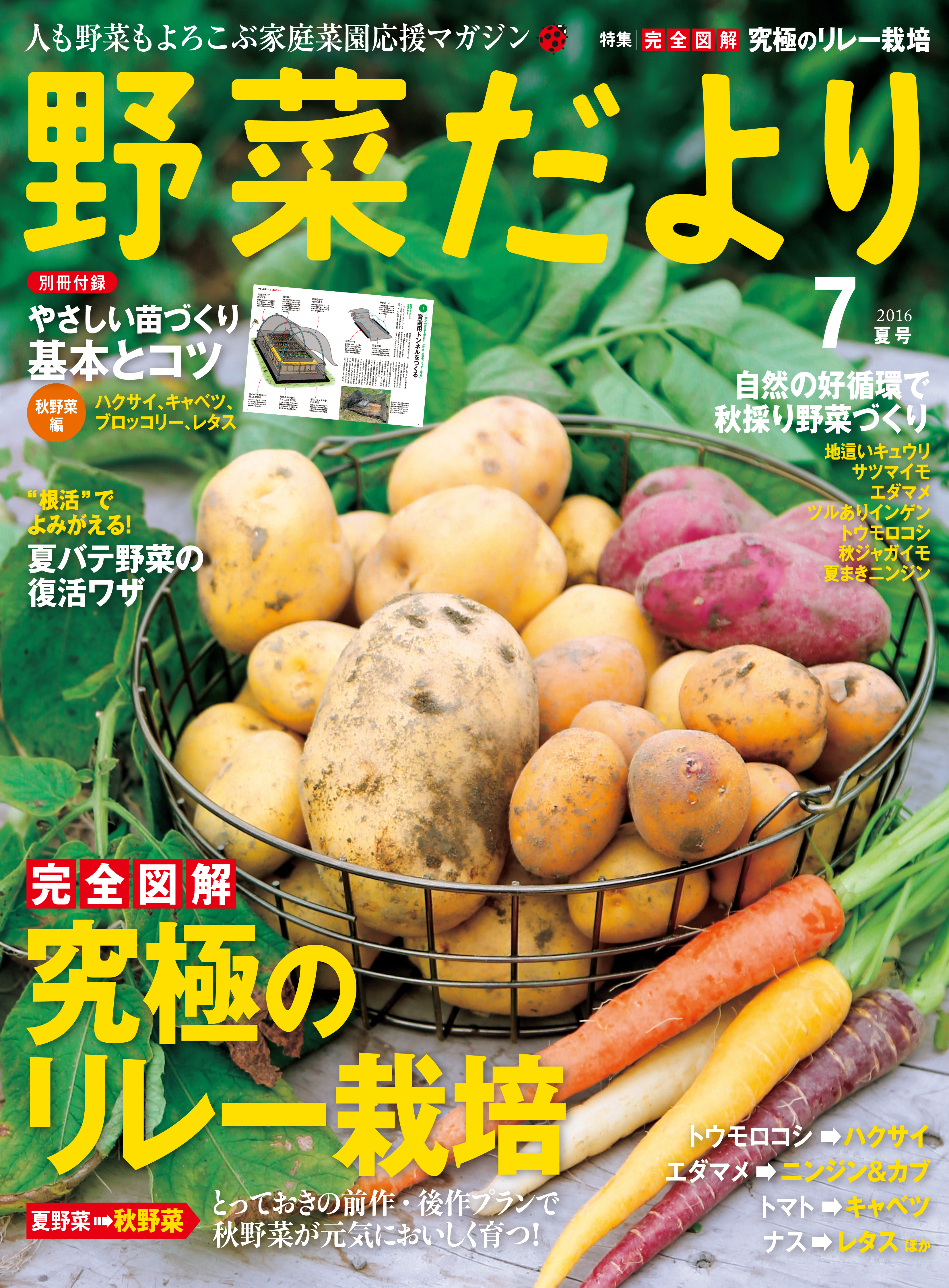 野菜だより2016年7月号