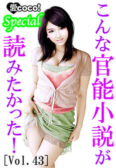 こんな官能小説が読みたかった!vol.43