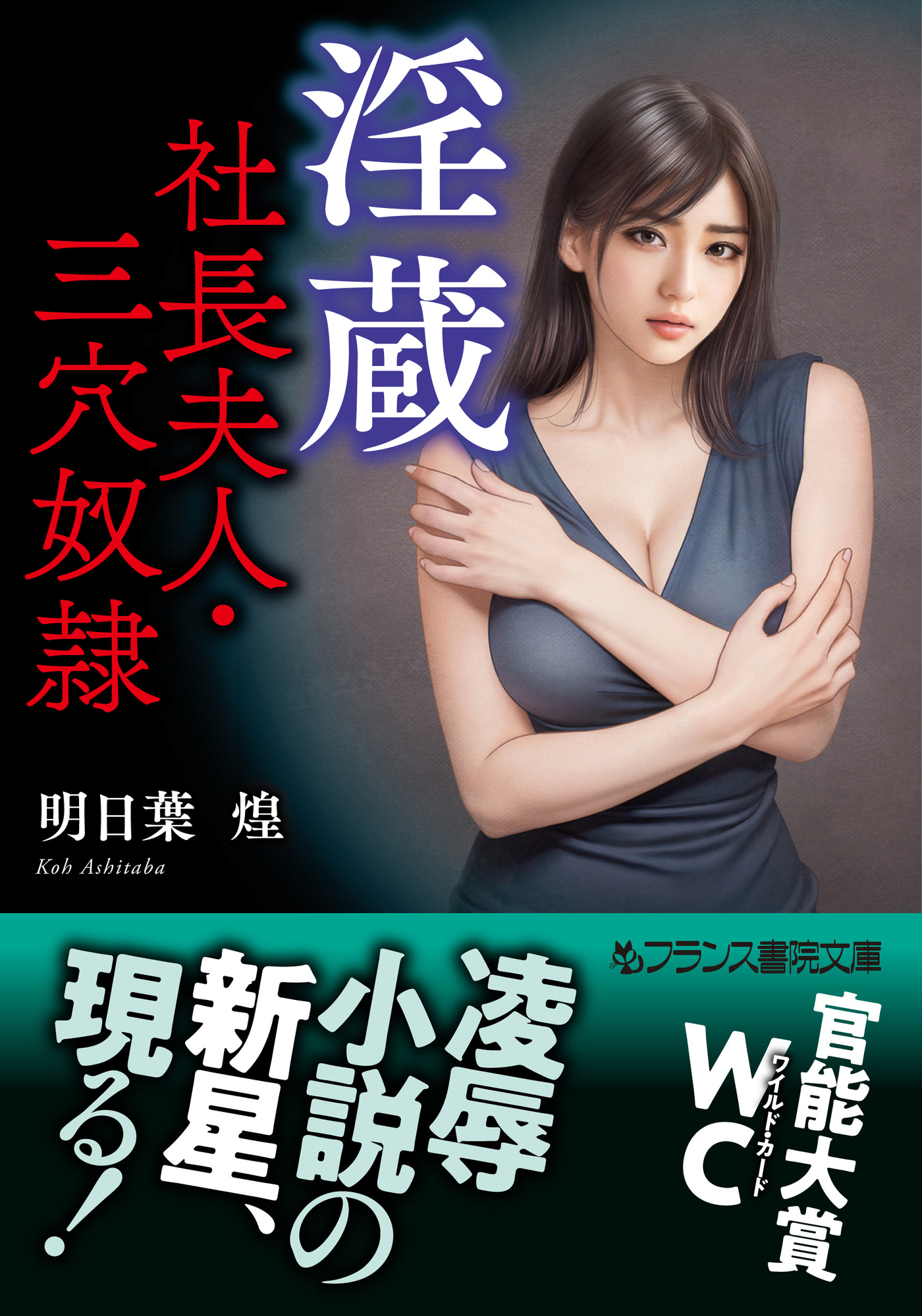 淫蔵　社長夫人・三穴奴隷