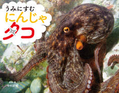 うみにすむ にんじゃ タコ