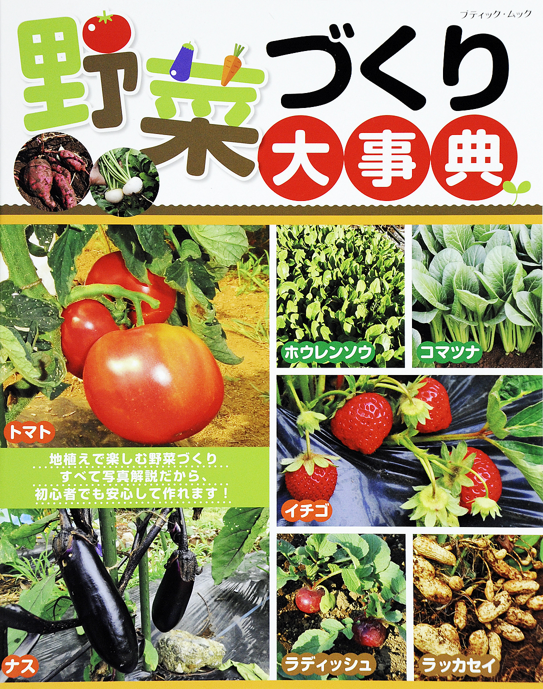 野菜づくり大事典