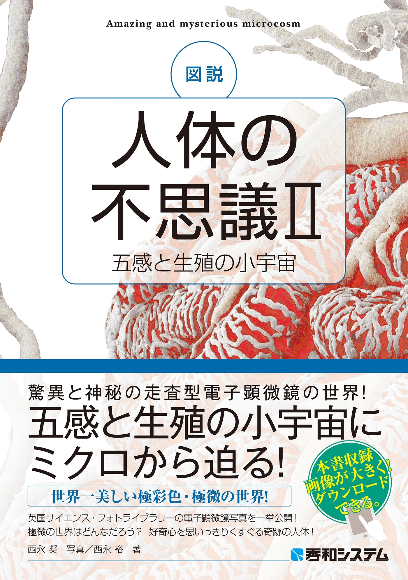 図説 人体の不思議