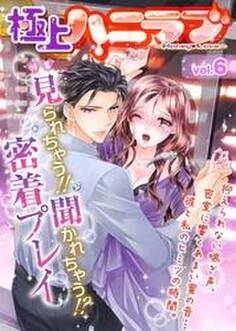 極上ハニラブ vol.6【見られちゃう!!聞かれちゃう!?密着プレイ】