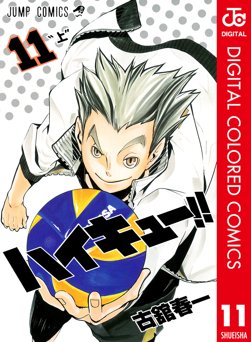 ハイキュー！！ カラー版 11
