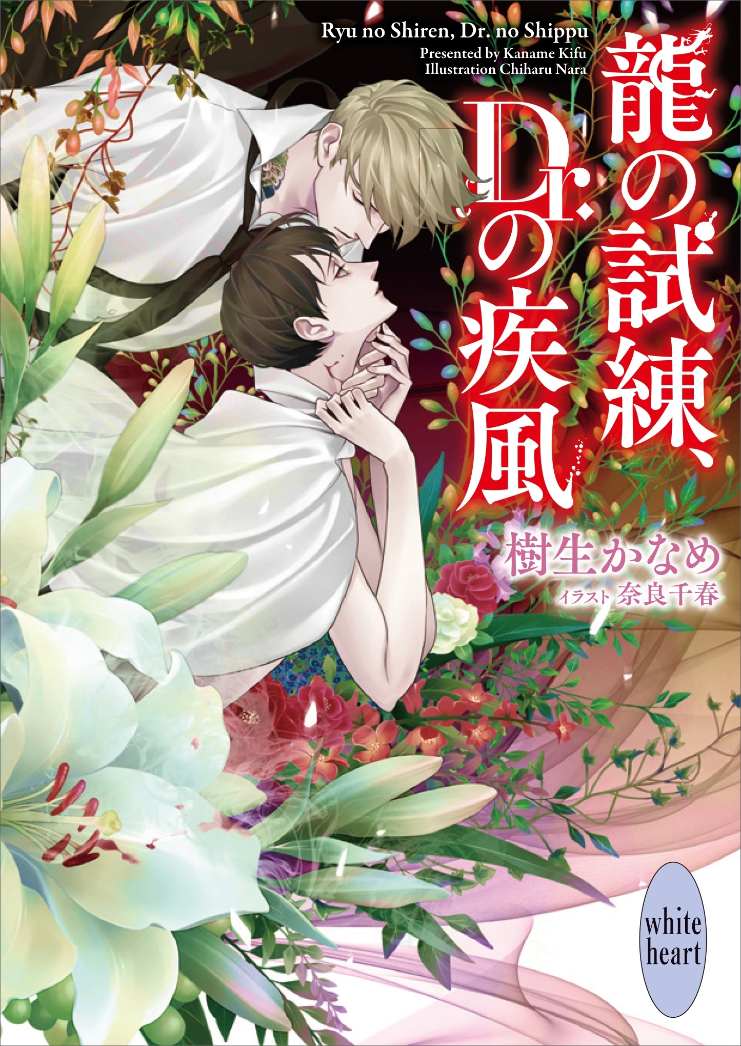 龍の試練、Ｄｒ．の疾風　龍＆Ｄｒ．（３９）