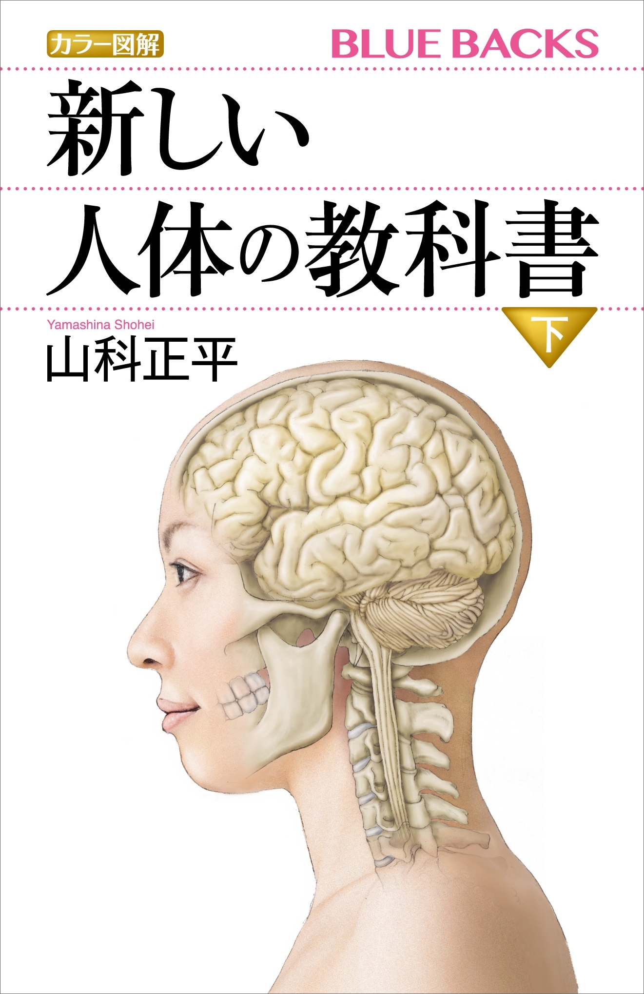 新しい人体の教科書