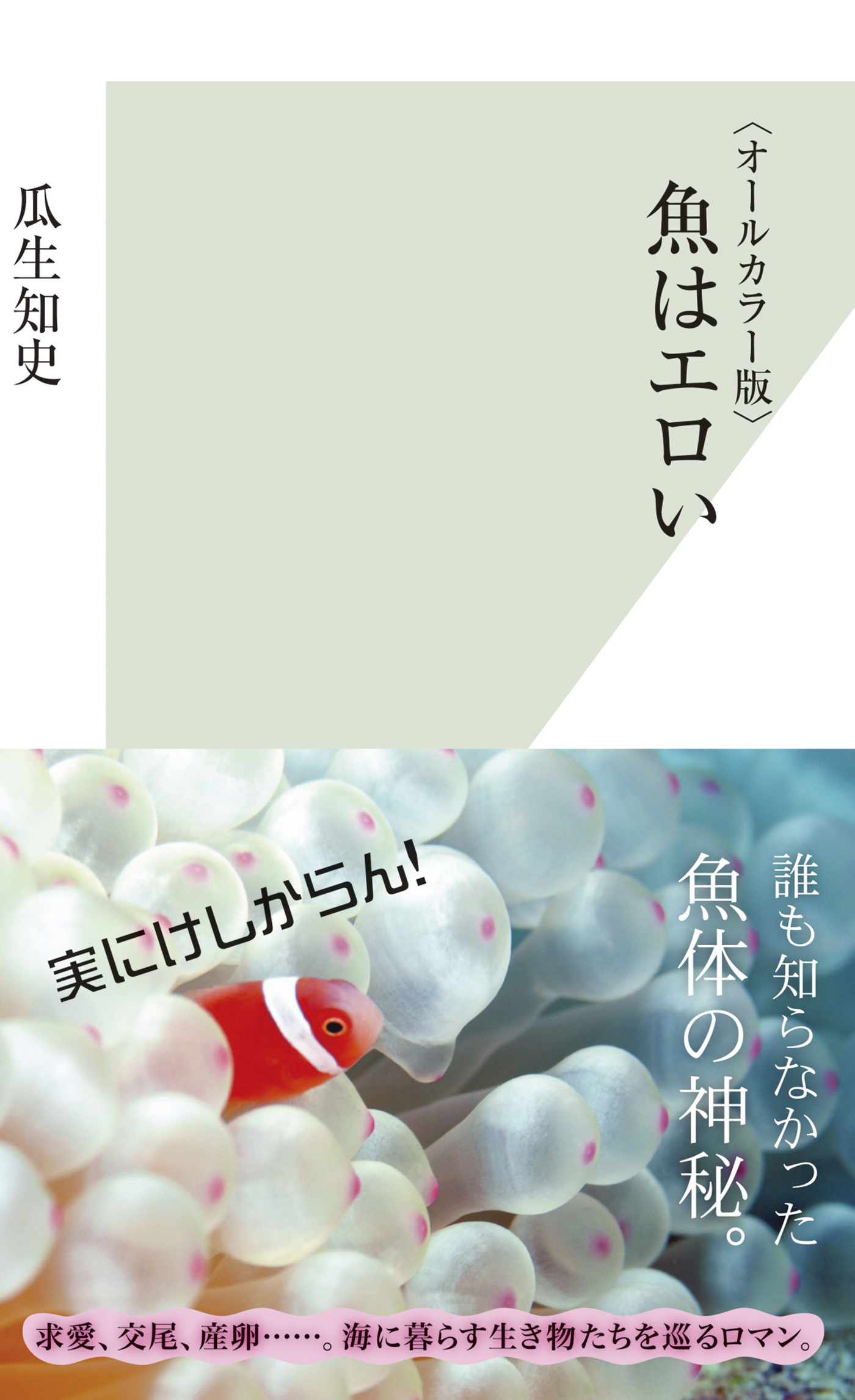 〈オールカラー版〉魚はエロい