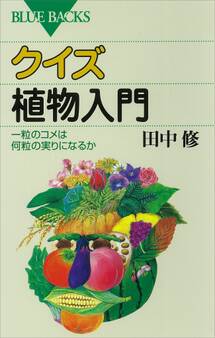 クイズ 植物入門 一粒のコメは何粒の実りになるか