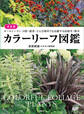 決定版 カラーリーフ図鑑 オールシーズン・日陰・酷暑・どんな場所でも活躍する宿根草・樹木