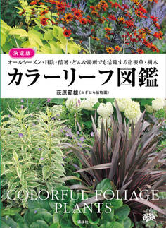 決定版 カラーリーフ図鑑 オールシーズン・日陰・酷暑・どんな場所でも活躍する宿根草・樹木