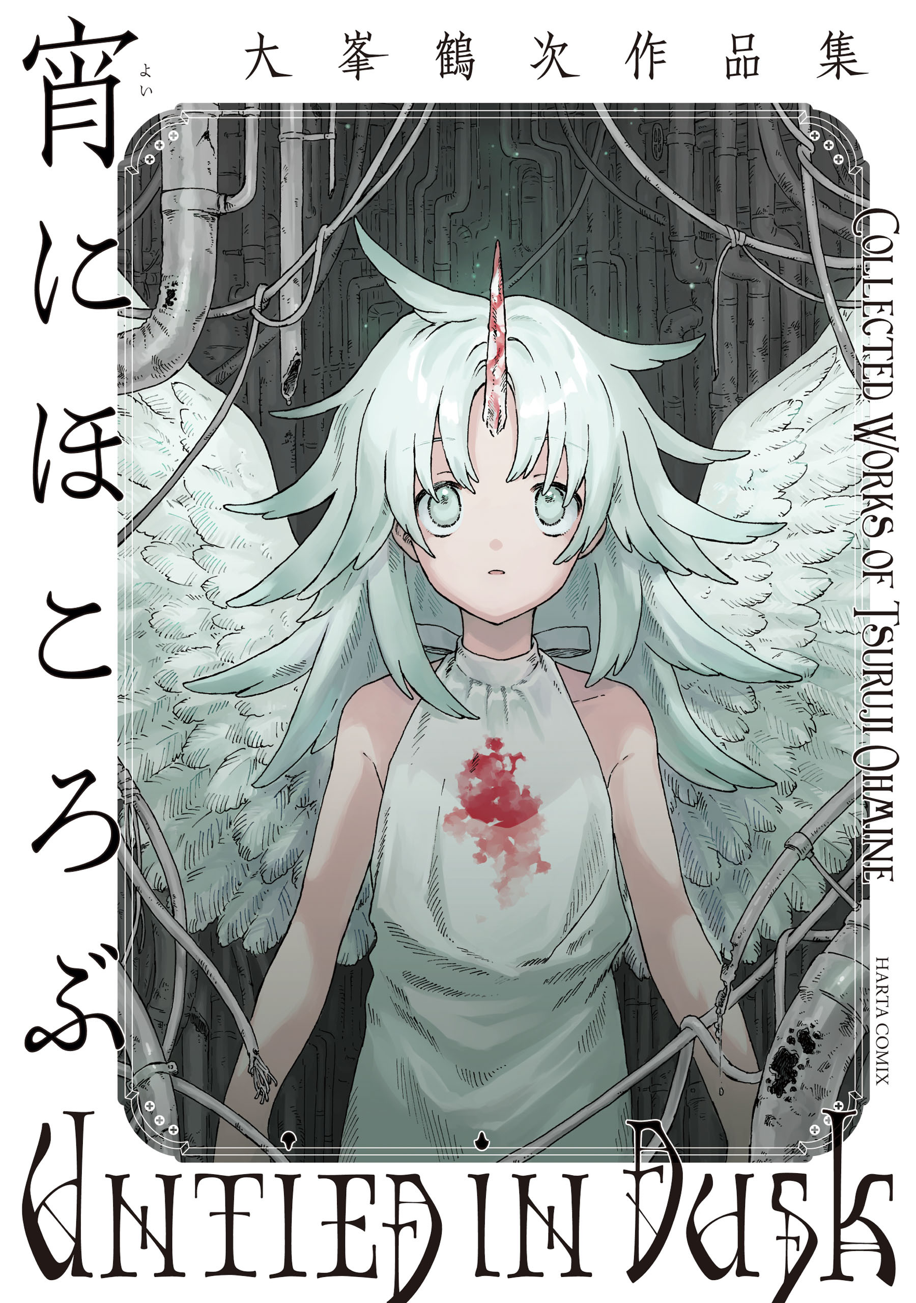 宵にほころぶ　大峯鶴次作品集