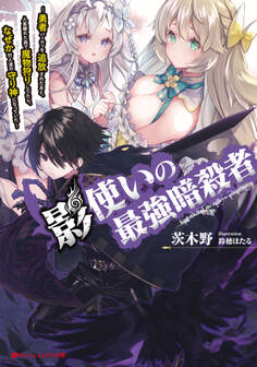 影使いの最強暗殺者 ~勇者パーティを追放されたあと、人里離れた森で魔物狩りしてたら、なぜか村人達の守り神になっていた~