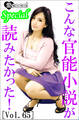 こんな官能小説が読みたかった!vol.65