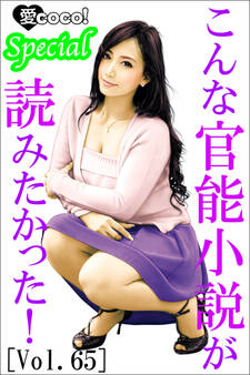 こんな官能小説が読みたかった!vol.65