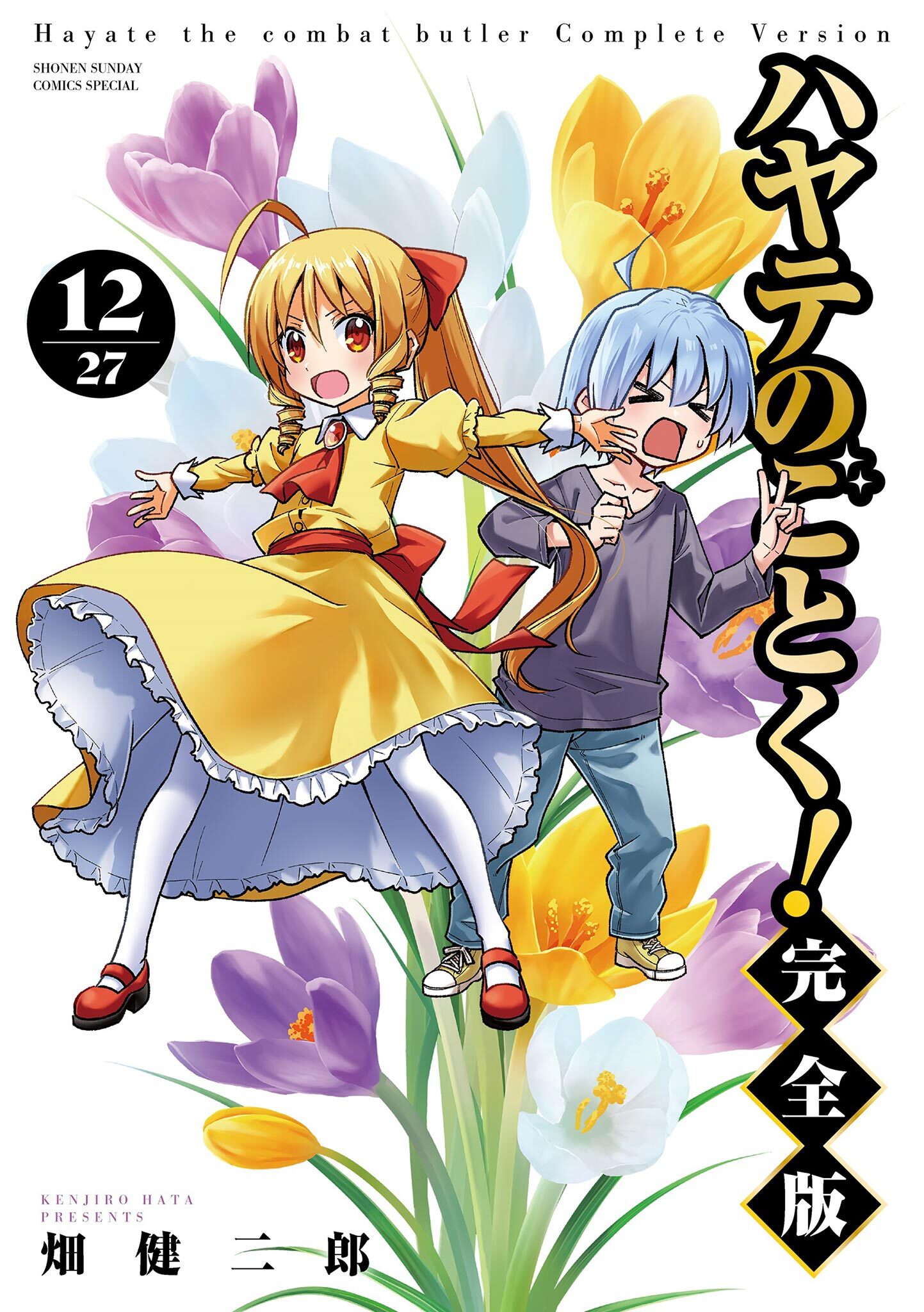 ハヤテのごとく！ 完全版 12