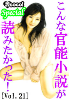 こんな官能小説が読みたかった!vol.21