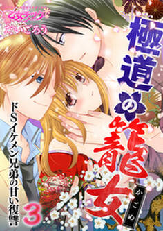 極道の籠女~ドSイケメン兄弟の甘い復讐~(3)