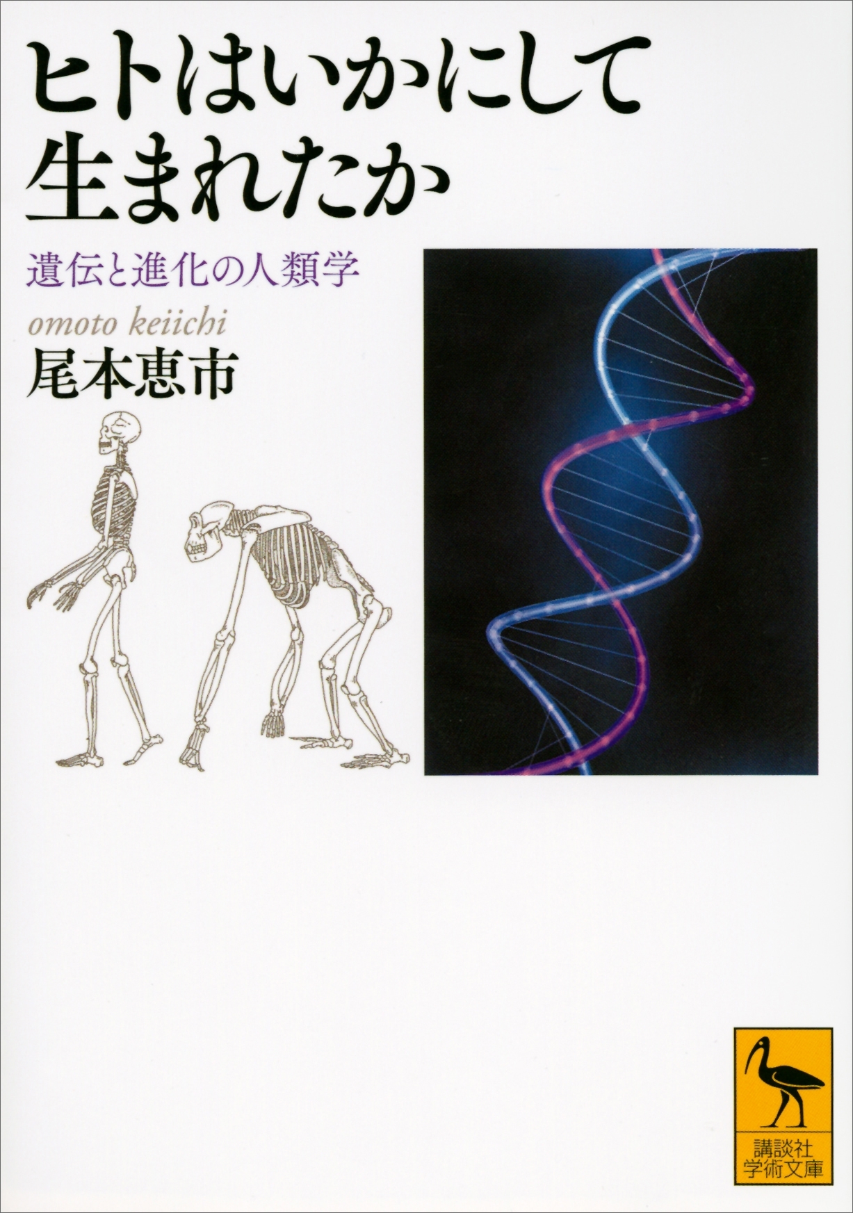 ヒトはいかにして生まれたか　遺伝と進化の人類学