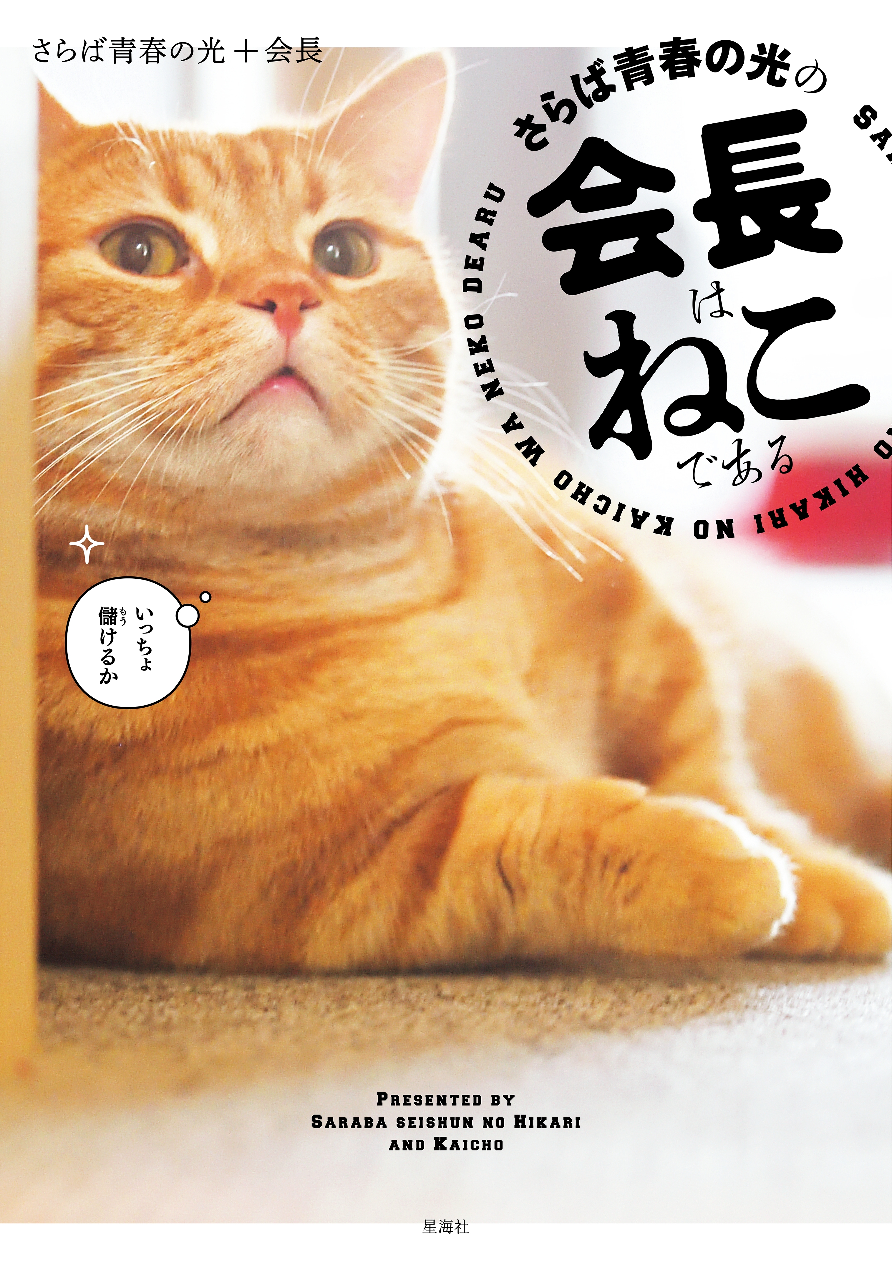 【期間限定　試し読み増量版　閲覧期限2026年4月26日】さらば青春の光の会長はねこである