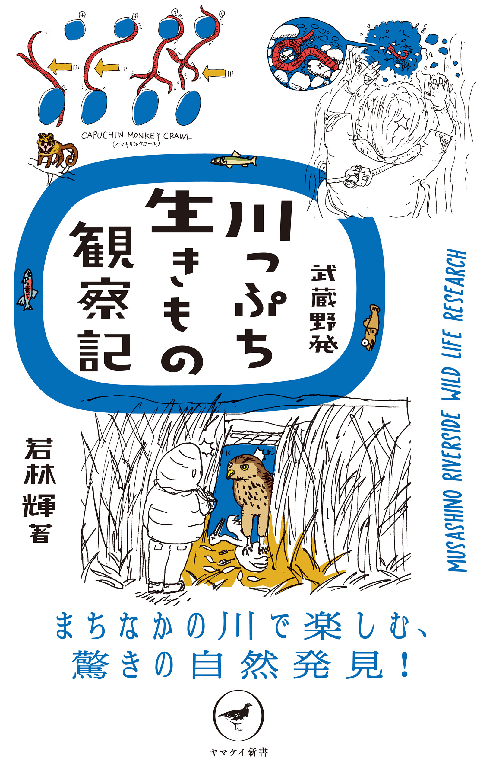 ヤマケイ新書 武蔵野発 川っぷち生きもの観察記