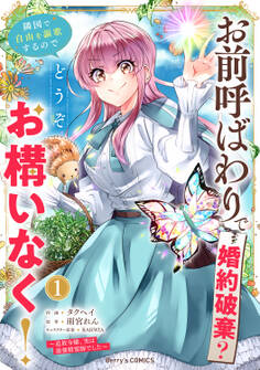 お前呼ばわりで婚約破棄?隣国で自由を謳歌するのでどうぞお構いなく!~追放令嬢、実は最強精霊師でした~