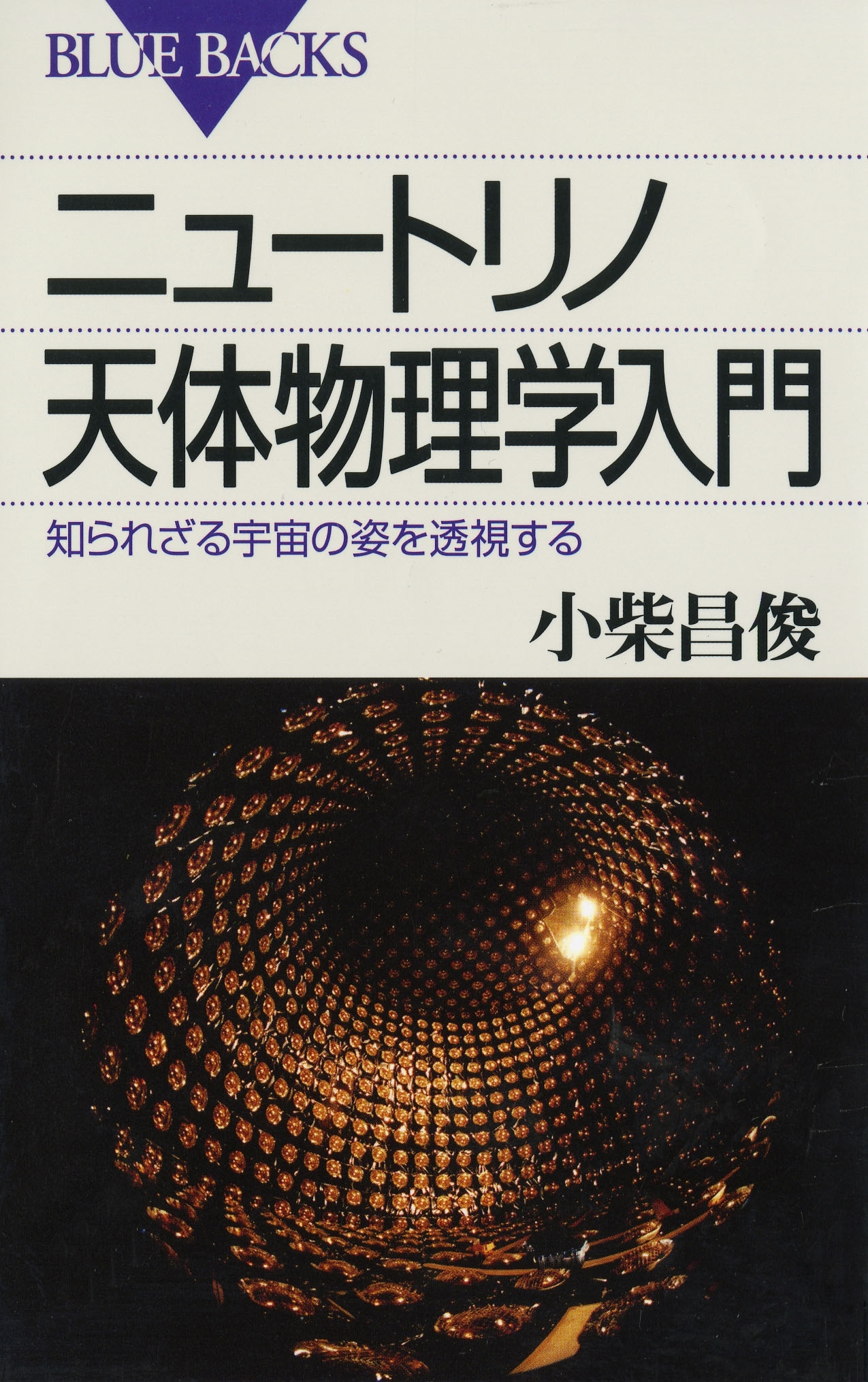ニュートリノ天体物理学入門 : 知られざる宇宙の姿を透視する