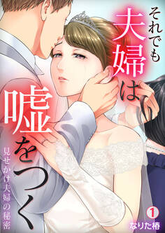 それでも夫婦は嘘をつく~見せかけ夫婦の秘密~(1)