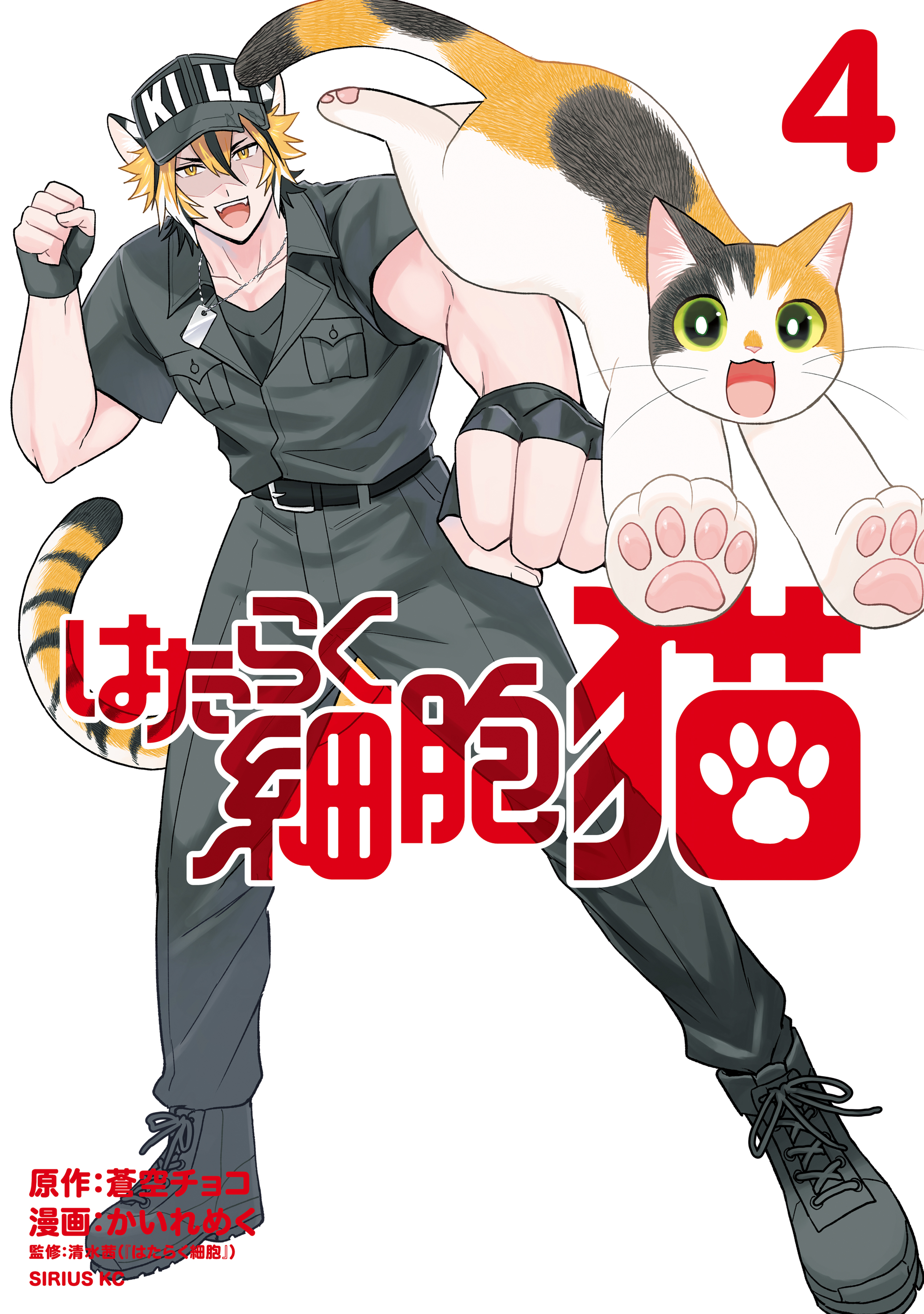 はたらく細胞　猫