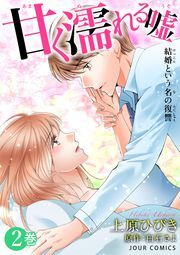 甘く濡れる嘘～結婚という名の復讐～ ： 2