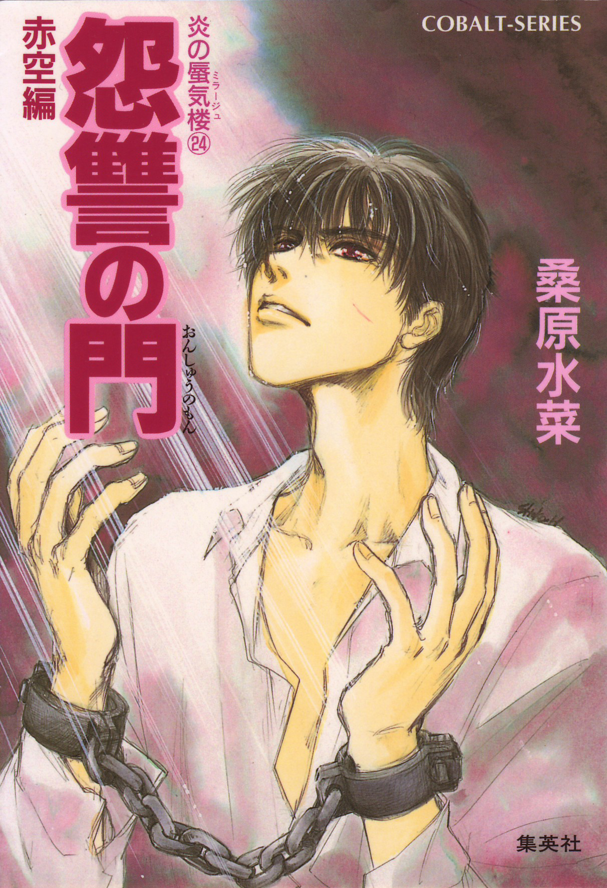 炎の蜃気楼24　怨讐の門（赤空編）