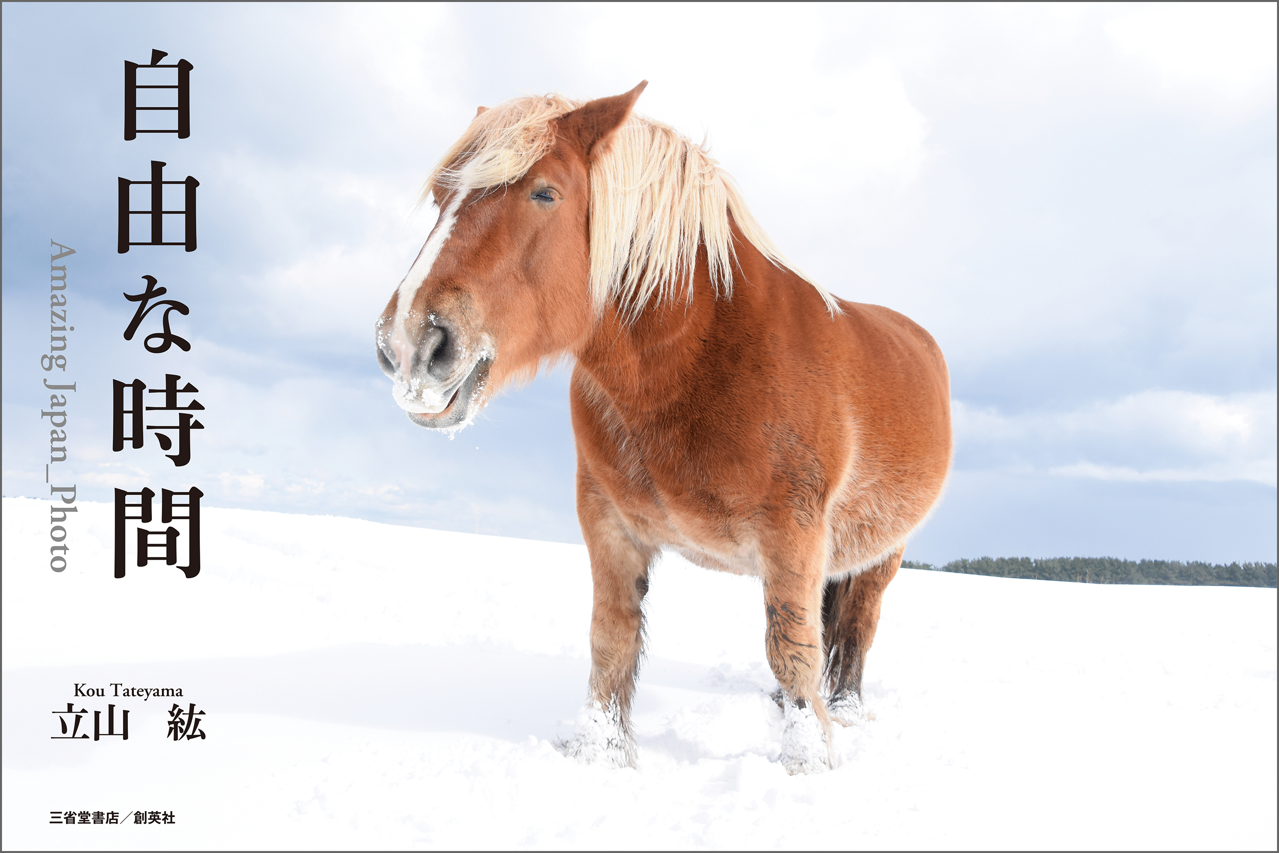 自由な時間　Amazing Japan_Photo