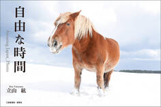 自由な時間 Amazing Japan_Photo