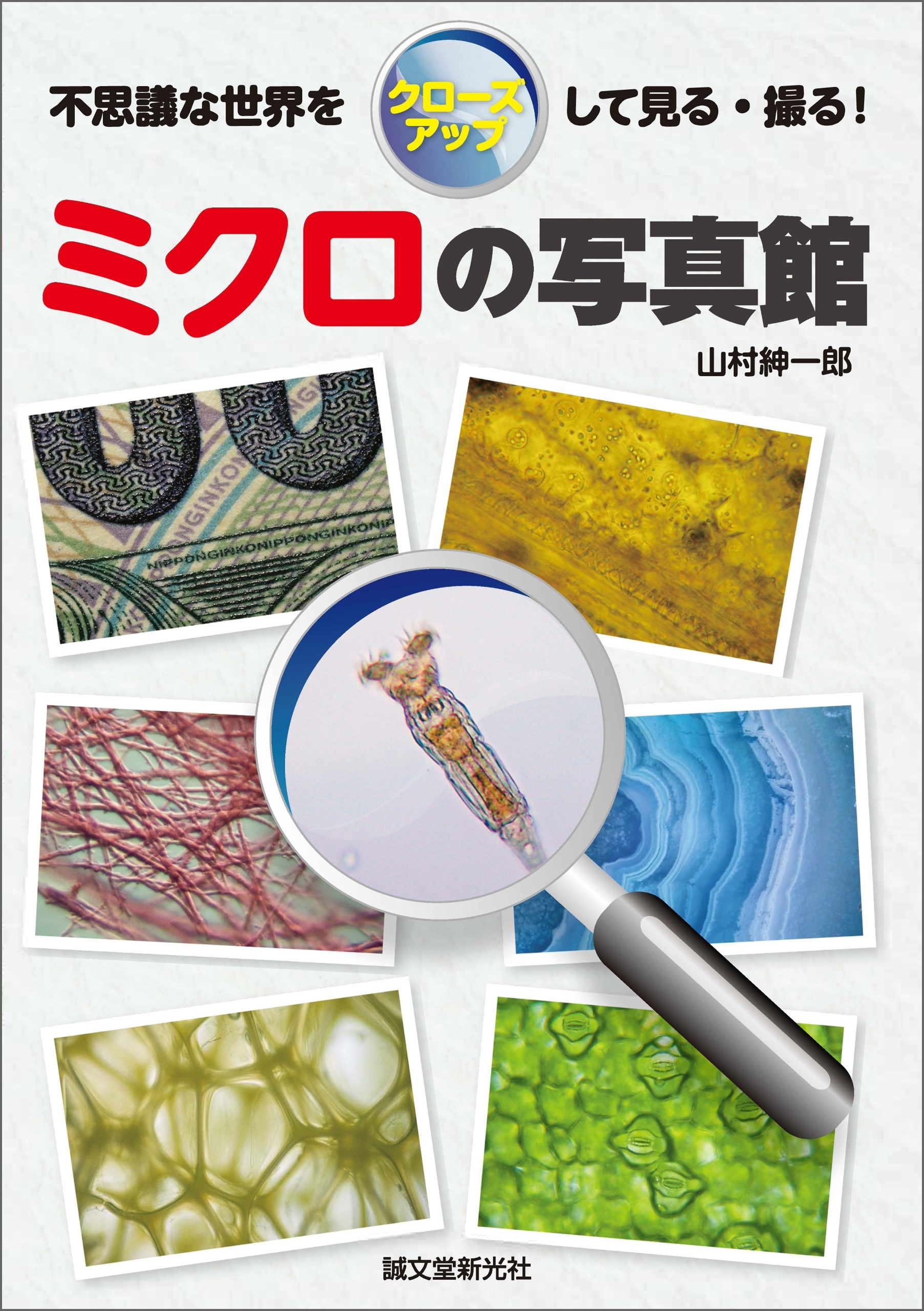 ミクロの写真館