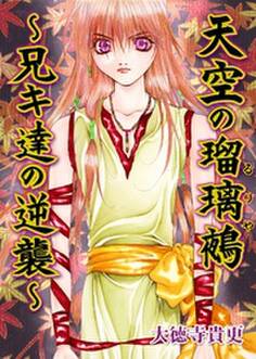 天空の瑠璃鵺~兄キ達の逆襲~