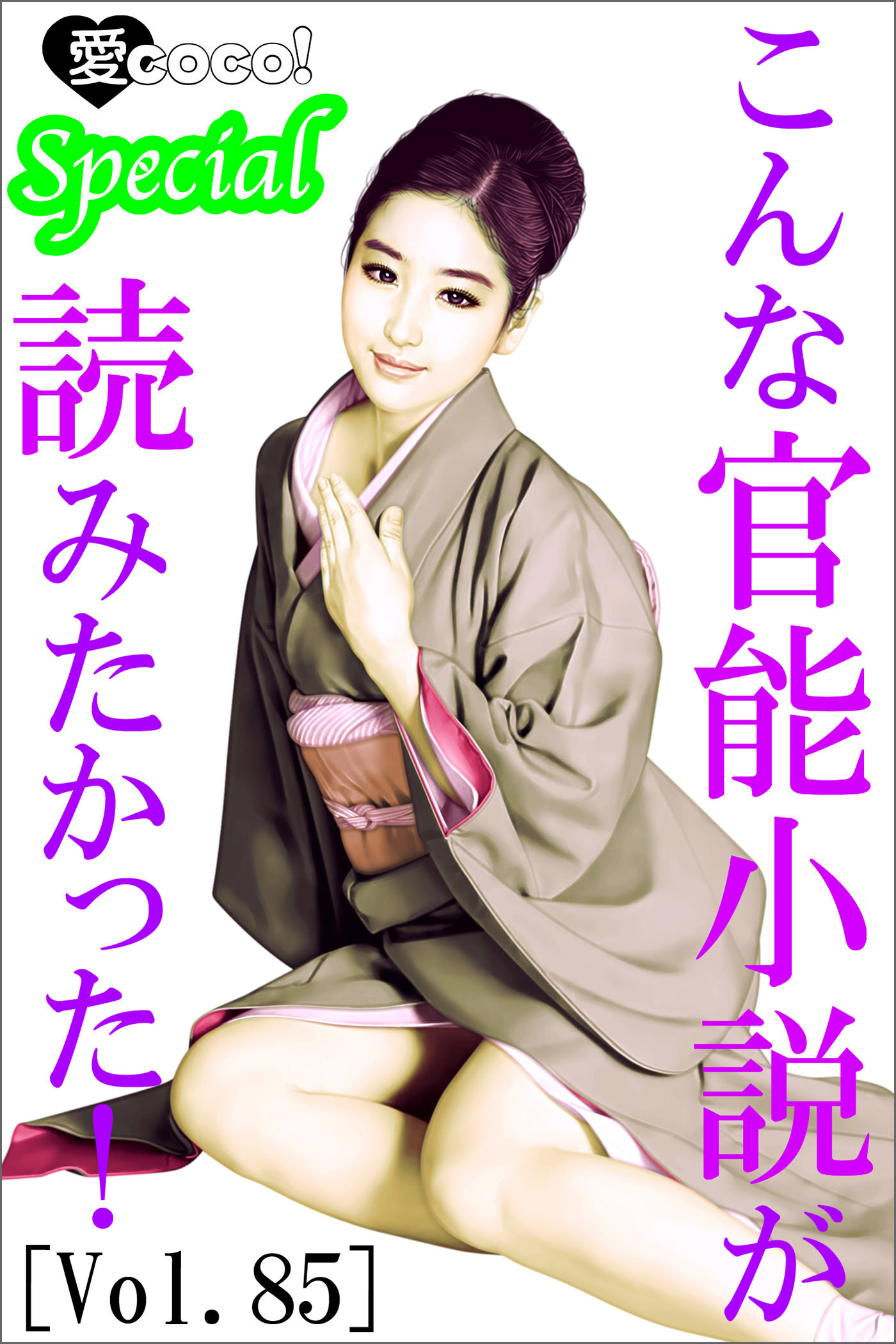 こんな官能小説が読みたかった！vol.85