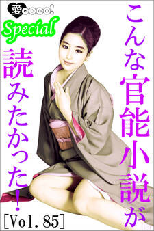 こんな官能小説が読みたかった!vol.85
