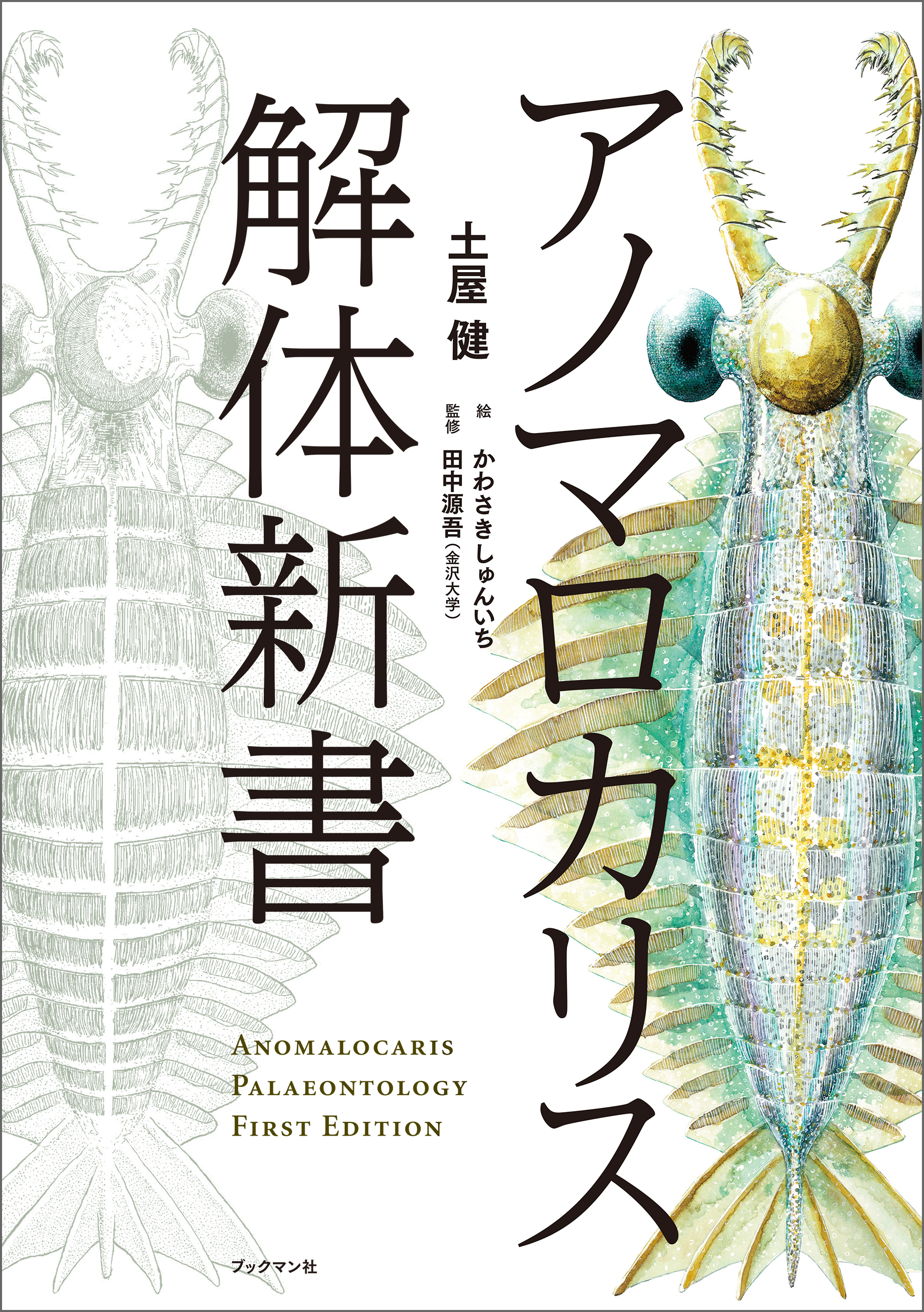 アノマロカリス解体新書