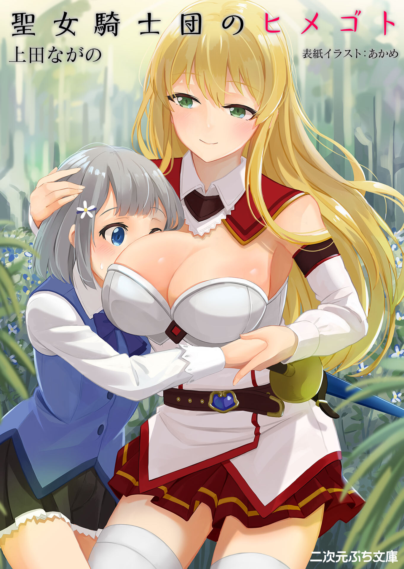 聖女騎士団のヒメゴト