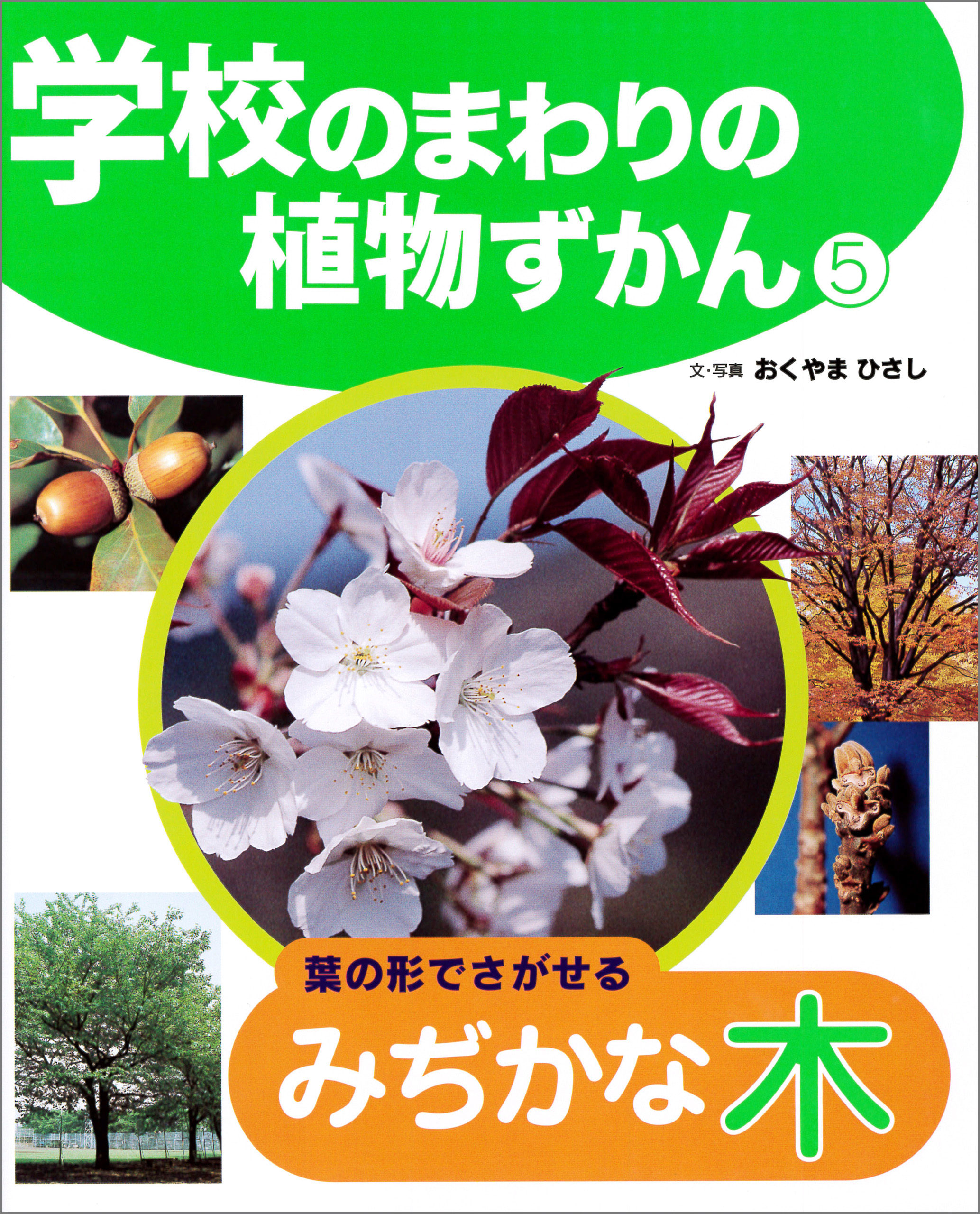 学校のまわりの植物ずかん