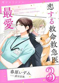 恋する救命救急医 最愛3 【電子オリジナル】