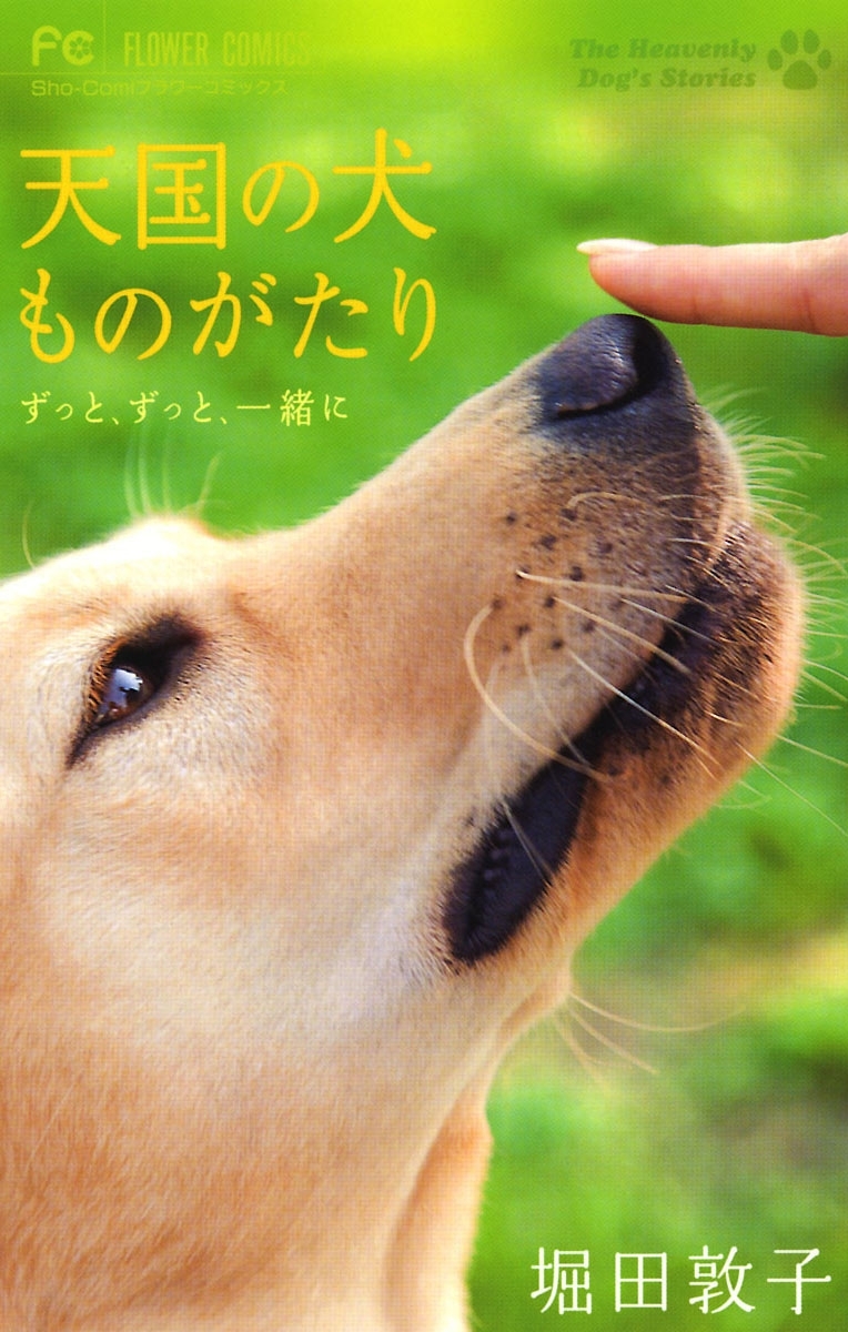 天国の犬ものがたり  ～ずっと、ずっと、一緒に～
