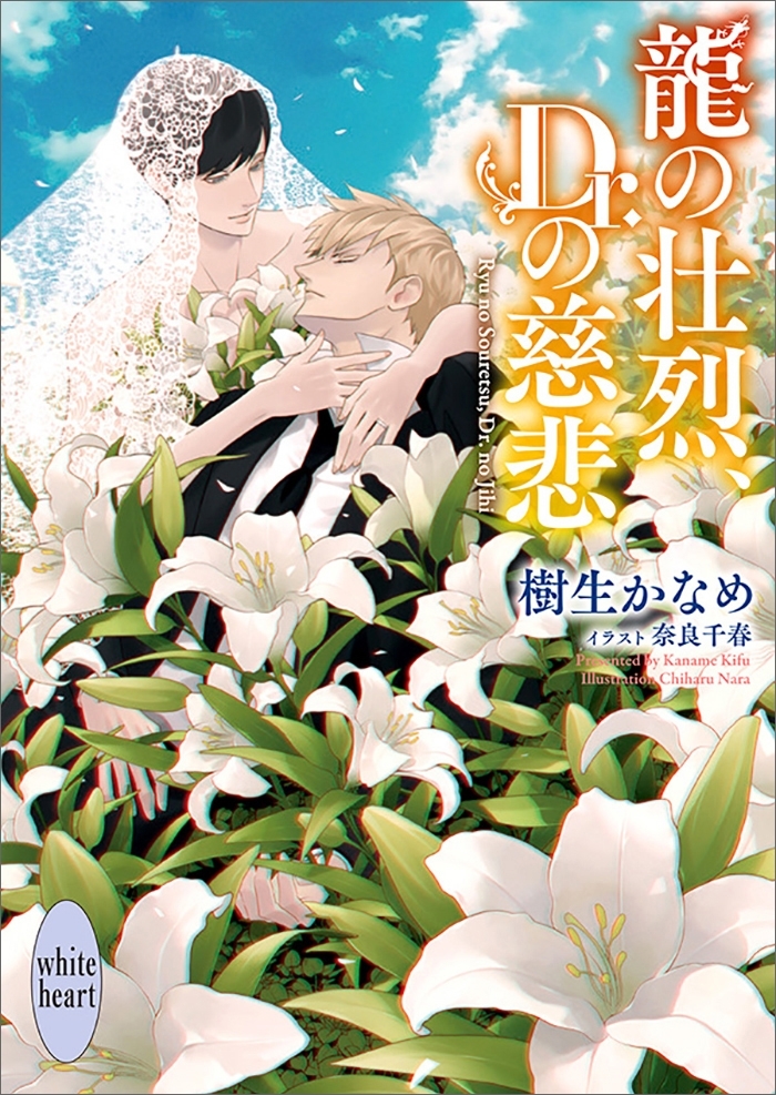 龍の壮烈、Ｄｒ．の慈悲　龍＆Ｄｒ．（３７）