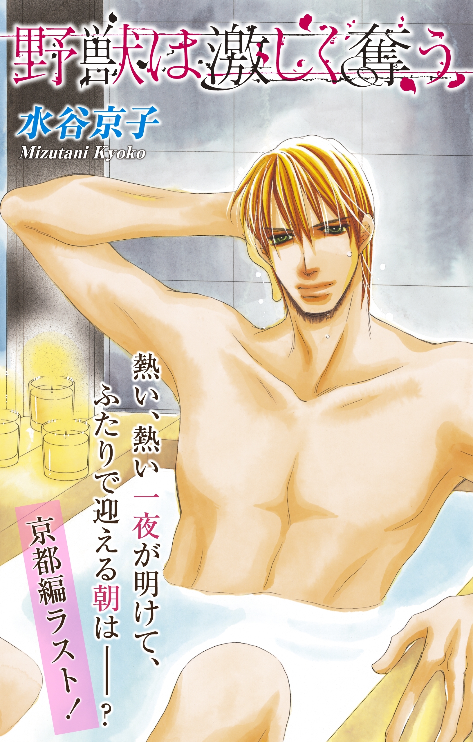 Love Silky　野獣は激しく奪う　story24