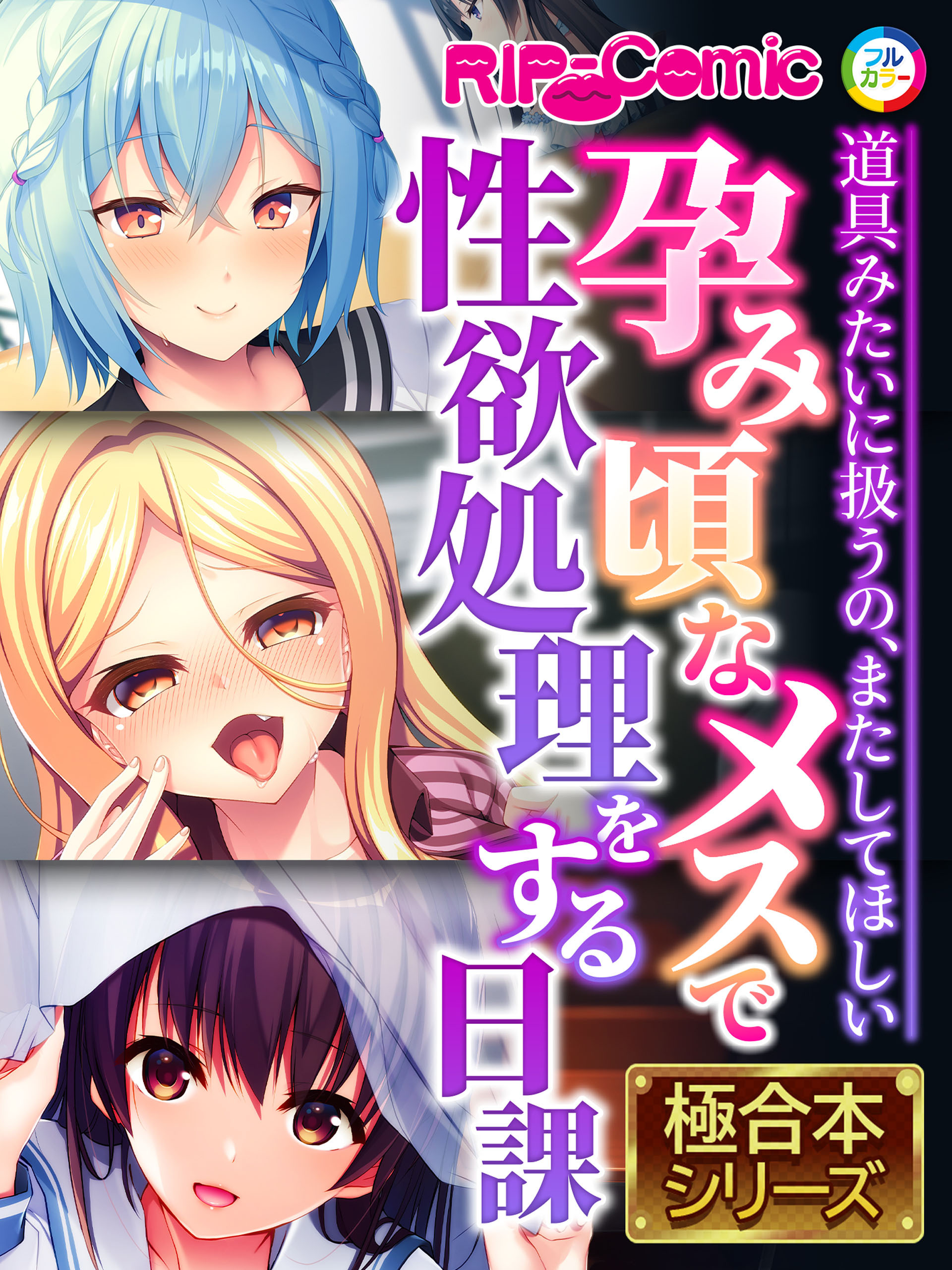 孕み頃なメスで性欲処理をする日課 ～道具みたいに扱うの、またしてほしい～【極合本シリーズ】